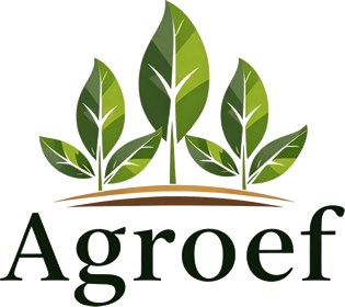 Agroef Services logo