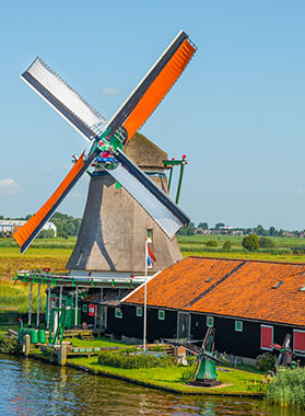 Field landscape