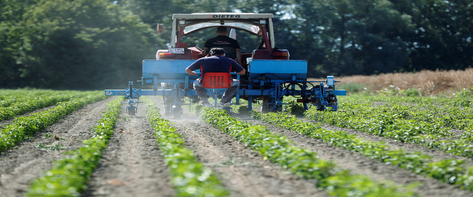 Agricultural process imagery